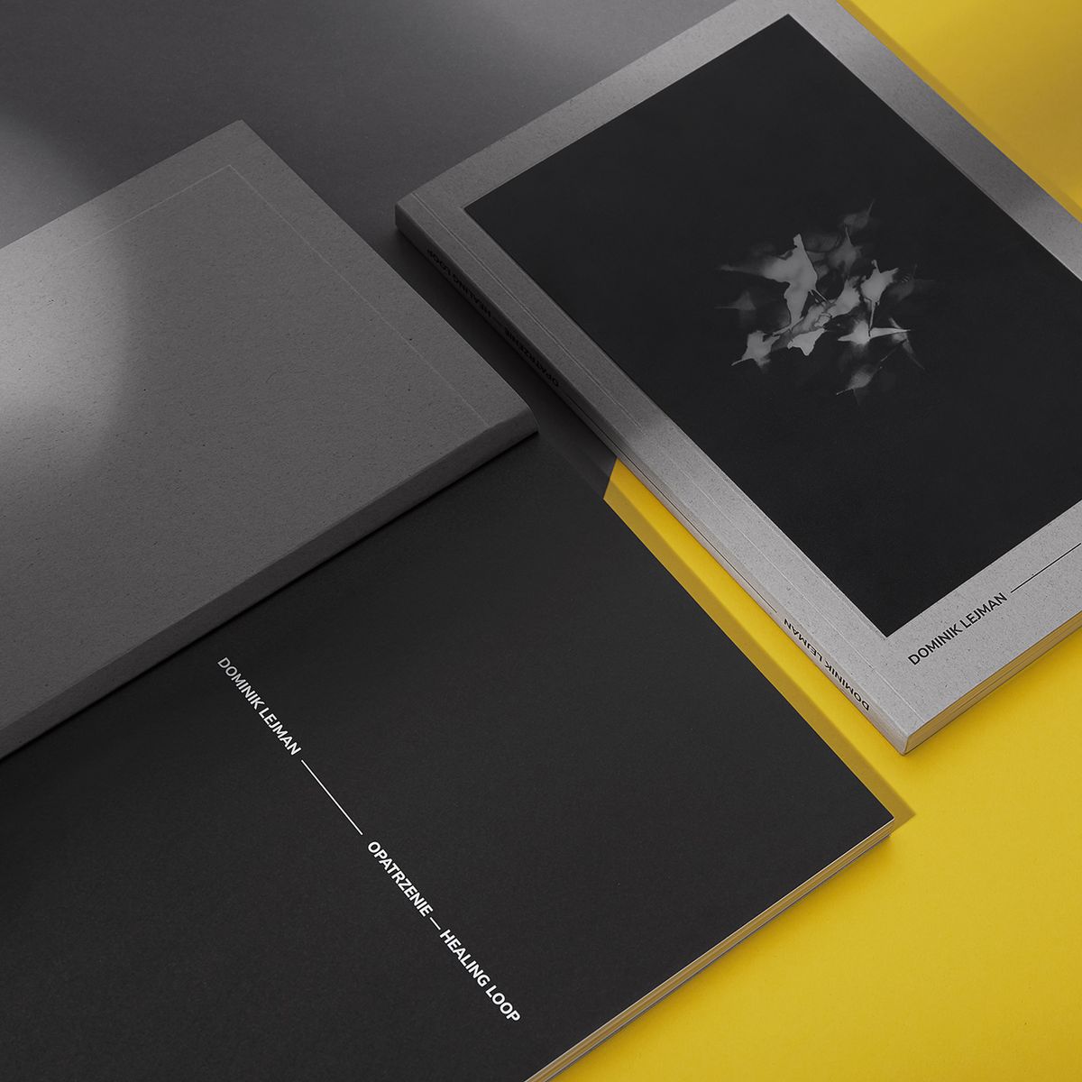 Design of the monograph Healing Loop by Dominik Lejman.